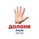 Набір розвиваючих карток Геній з пелюшок "Будова структура" Ранок 10107202, 17 карток 10107202 фото 3