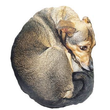 Дитяча м'яка іграшка "Собака Маня" DOG-M 42 см DOG-M фото