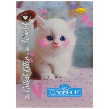 Зошит-словник з іноземної мови "The Cutest Kitten in the world" АП-0502-8 В5 на скобі АП-0502-8 фото