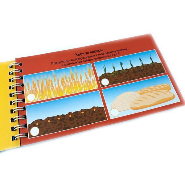 Навчальна книга Цифри 4+ Грайки 123003 123003 фото