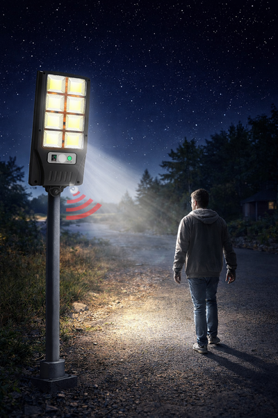 Вуличний ліхтар на стовп Solar sensor light BK-120-8COB-B з датчиком руху та сонячною панеллю S8COB фото