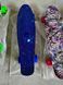 Пенні борд скейтборд Penny Board Fish Skateboards 22" ABEC-7 з колесами, що світяться MA-262 фото 7
