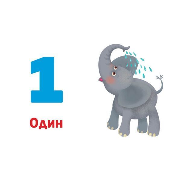 Багаторазові прописи "Цифри та числа" 1155003, 31 картка 1155003 фото