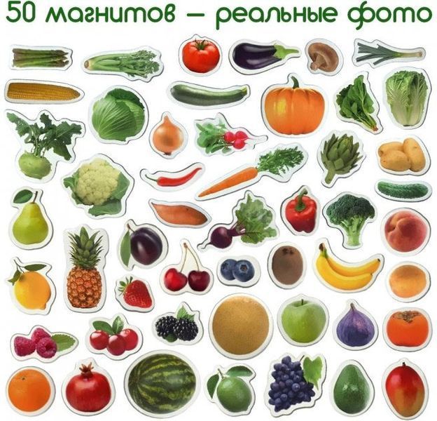 Набір магнітів Magdum "Фрукти і овочі" ML4031-15 EN ML4031-15 EN фото