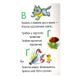 Книга для дошкільнят. Перші кроки: Азбука Ранок 410022 410022 фото 2