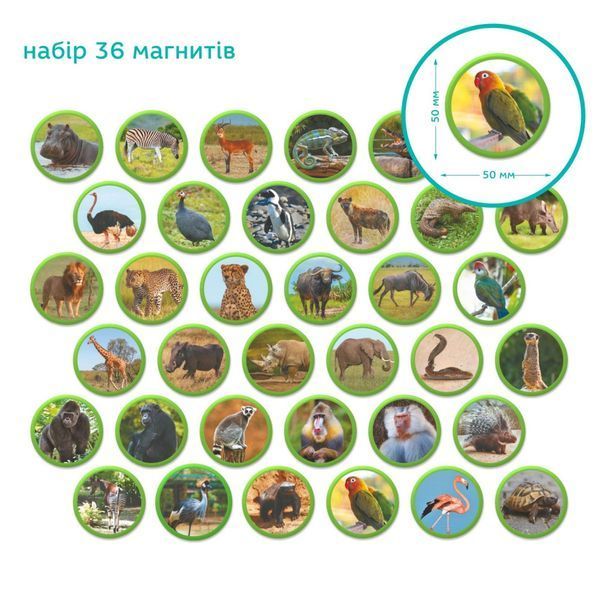 Дитячий магнітний набір Монтесорі "Тварини на континентах: Африка" 200284, 36 елементів 200284 фото
