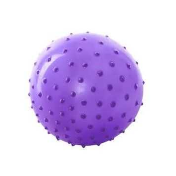 Мяч масажний MS 0023 8 дюймів Фіолетовий MS 0023(Violet) фото