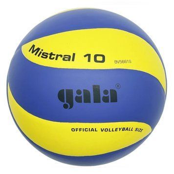 М'яч волейбольний тренувальний Mistral 10 NE-GALA-M10 № 5 NE-GALA-M10 фото