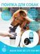 Дорожня пляшка, напувалка для собак Aqua Dog 550 мл pr30025 фото 1