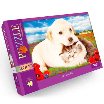 Пазл "Friendship" Danko Toys C2000-01-09, 2000 ел. C2000-01-09 фото