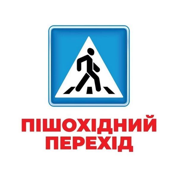 Набір розвиваючих карток Геній з пелюшок "Дорожні знаки" Ранок 10107205, 17 карток 10107205 фото