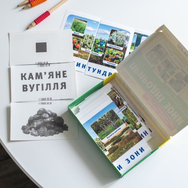Набір тематичних карток "Природні зони" 13169002 для дітей 4-6 років 13169002 фото