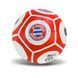 М'яч футбольний FC BAYERN MUNCHEN FP081 №5, PU 420 грам, 32 панелі, сітка+голка в комплекті FP081 фото 1