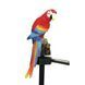 Ліхтар садовий SOLAR PARROT / Світильник для саду Папуга на сонячній батареї G7199 фото 4