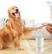 Лапомийка Pet Foot Wash 827-6 Автоматичний очищувач собачих лап з юсб USB 2052691 фото 2