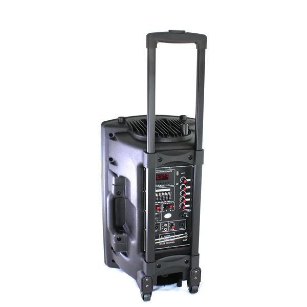 Портативна колонка Su-Kam BT 120D/212D+ 2 мікрофони 12v\220v sp4382 фото
