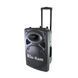 Портативна колонка Su-Kam BT 120D/212D+ 2 мікрофони 12v\220v sp4382 фото 1