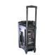 Портативна колонка Su-Kam BT 120D/212D+ 2 мікрофони 12v\220v sp4382 фото 2