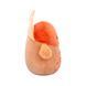 М'яка іграшка Індюк Гобріанна Squishmallows SQHV00029, 19 см SQHV00029 фото 5
