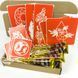 Набір хни з трафаретами для біо-тату №6 henna-set-06 henna-set-06 фото 1