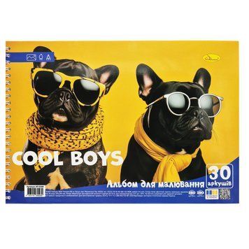 Альбом для малювання "Cool boys" АП-0309-5, 30 аркушів, пружина АП-0309-5 фото