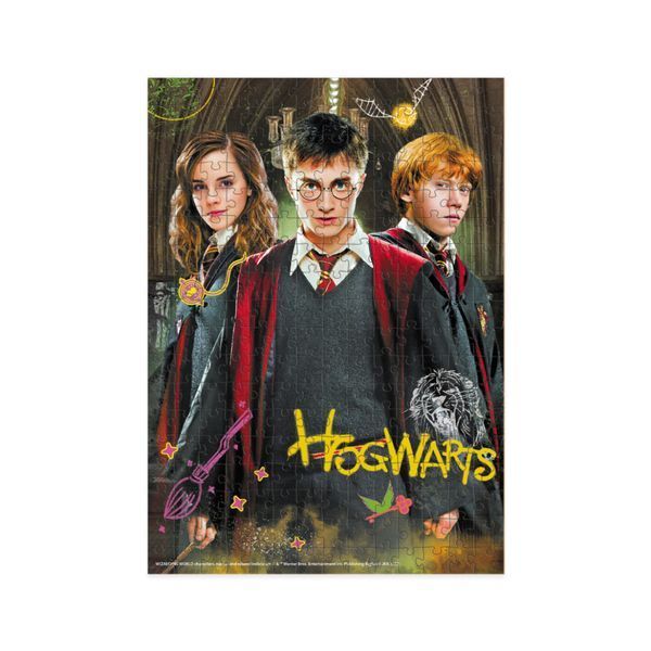 Пазл класичний "Harry Potter. Гаррі та друзі" 200498, 250 елементів 200498 фото