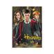 Пазл класичний "Harry Potter. Гаррі та друзі" 200498, 250 елементів 200498 фото 4