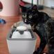 Поїлка для тварин Pet Water FOUNTAIN Автоматична напувалка - фонтан 5098874512 фото 1