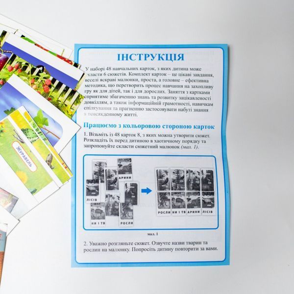 Набір тематичних карток "Екосистеми" 13169003 для дітей 4-6 років 13169003 фото