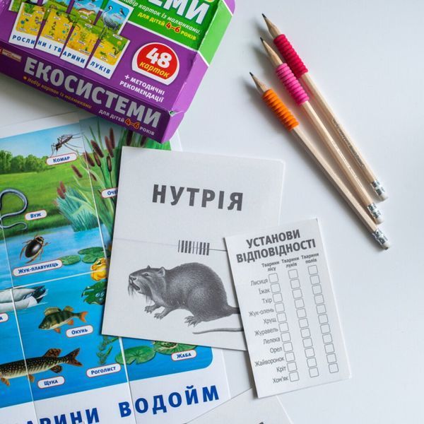 Набір тематичних карток "Екосистеми" 13169003 для дітей 4-6 років 13169003 фото
