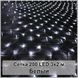 Гірлянда світлодіодна Сітка 200 LED 3х2м 2124073 фото 1