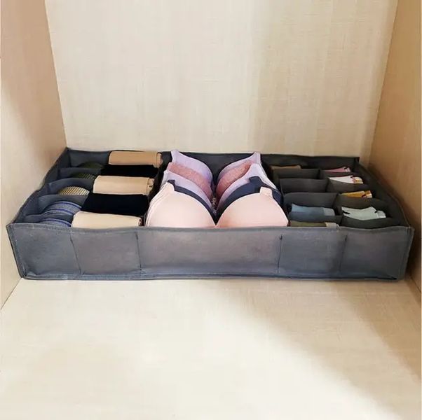 Органайзер для нижньої білизни Storage box LY-560 2053255 фото