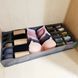 Органайзер для нижньої білизни Storage box LY-560 2053255 фото 1
