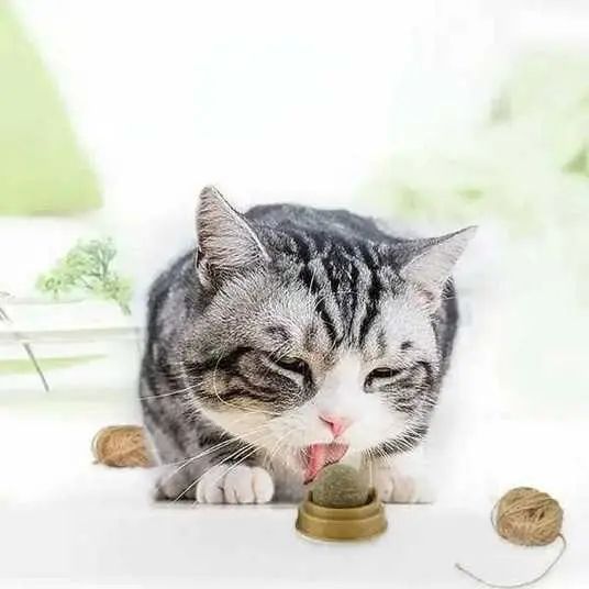 Котяча іграшка для кішок м'ятна кулька котячий льодяник VEN156 фото