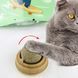 Котяча іграшка для кішок м'ятна кулька котячий льодяник VEN156 фото 5