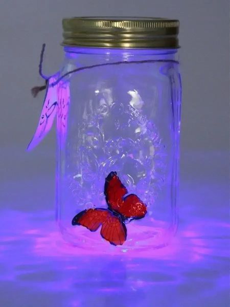 Декоративний нічник Метелик у банці Butterfly Інтерактивний пурхає метелик у банці з підсвіткою BUTT90 фото
