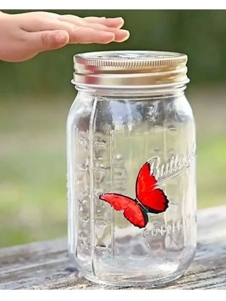 Декоративний нічник Метелик у банці Butterfly Інтерактивний пурхає метелик у банці з підсвіткою BUTT90 фото