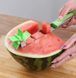 Пристрої для нарізки кавуна та дині SUNROZ Watermelon Slicer ніж-слайсер Зелений 20577414 фото 4