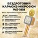 Караоке-мікрофон Bluetooth DM WS1818 з динаміками бездротова колонка мікрофон для співу Жовтий WS1818 фото 1