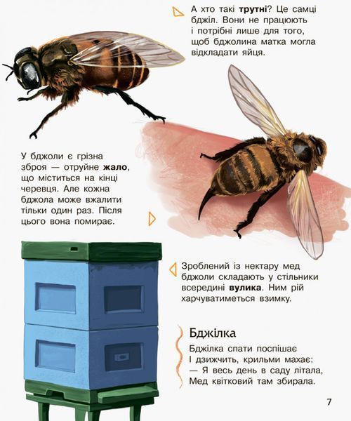 Дитяча енциклопедія про комах 614014 для дошкільнят 614014 фото