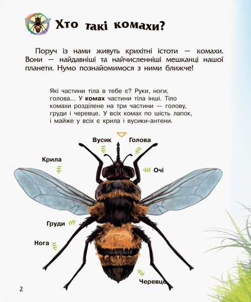 Дитяча енциклопедія про комах 614014 для дошкільнят 614014 фото
