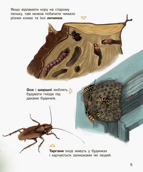 Дитяча енциклопедія про комах 614014 для дошкільнят 614014 фото