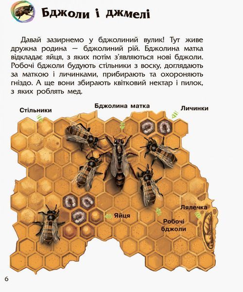 Дитяча енциклопедія про комах 614014 для дошкільнят 614014 фото