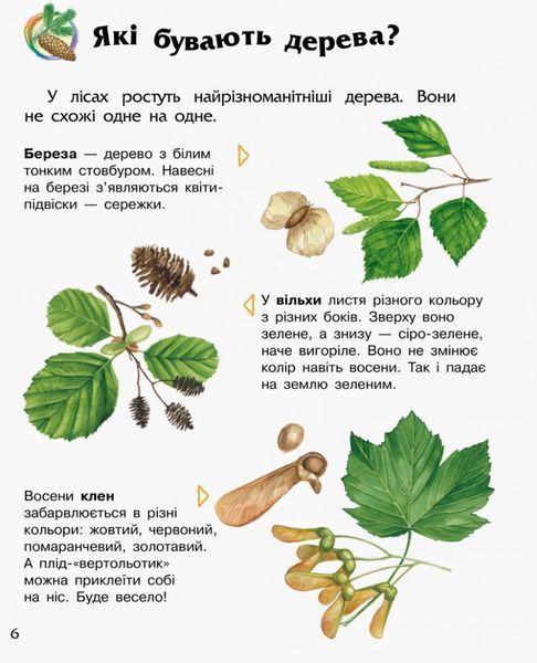 Дитяча енциклопедія про ліс 614016 для дошкільнят 614016 фото
