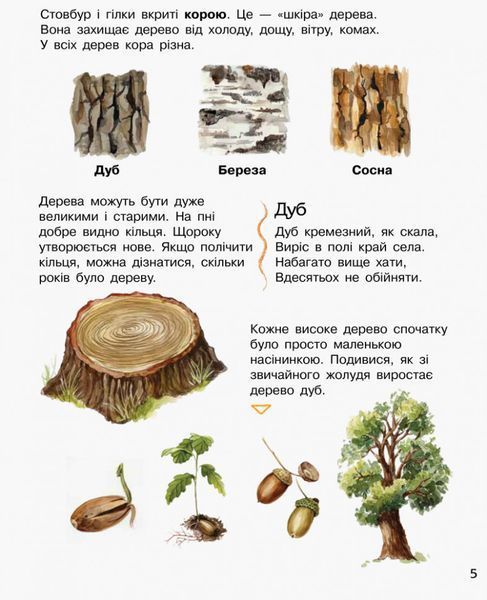 Дитяча енциклопедія про ліс 614016 для дошкільнят 614016 фото