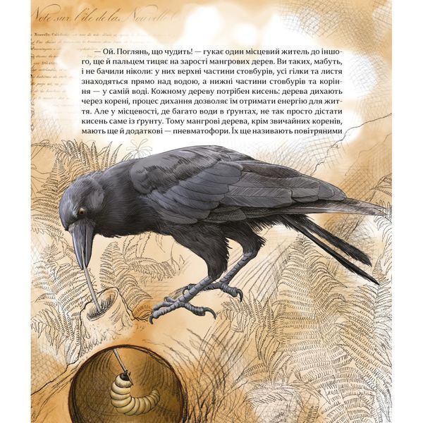 Дитяча книжка "Як зрозуміти тварин" 452155 серія "Відкривай" 452155 фото