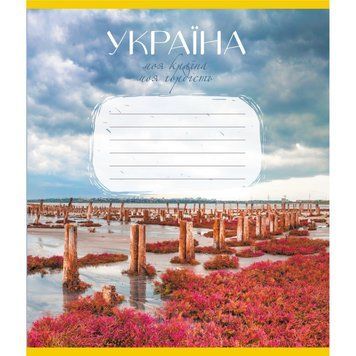 Зошит загальний "Моя країна" 096-640069L-1 в лінію, 96 аркушів 096-640069L-1 фото