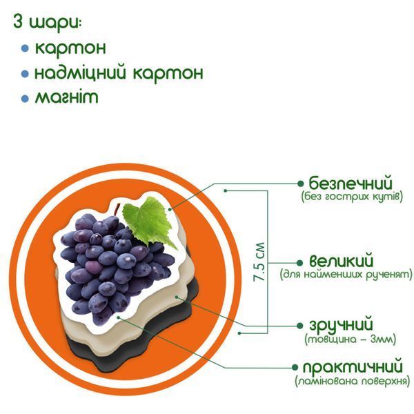 Набір магнітів Magdum "Фрукти і ягоди" ML4031-11 EN ML4031-11 EN фото