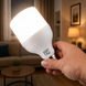 LED лампочка у патрон AY-915 / Акумуляторний ліхтар 50W / Лампа аварійного освітлення M17709 фото 1