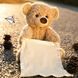 Інтерактивна іграшка Ведмедик Пікабу Peekaboo Bear pr6544458865 фото 2